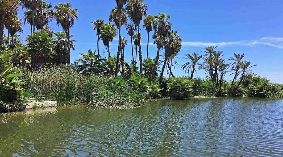 Va Comisión de Desarrollo Sostenible por restaurar el Estero de SJC y un futuro más ecológico para Los Cabos