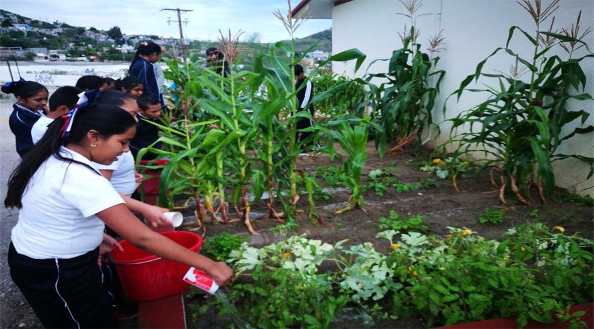 Imparten programa de educación y divulgación ambiental en planteles de BCS