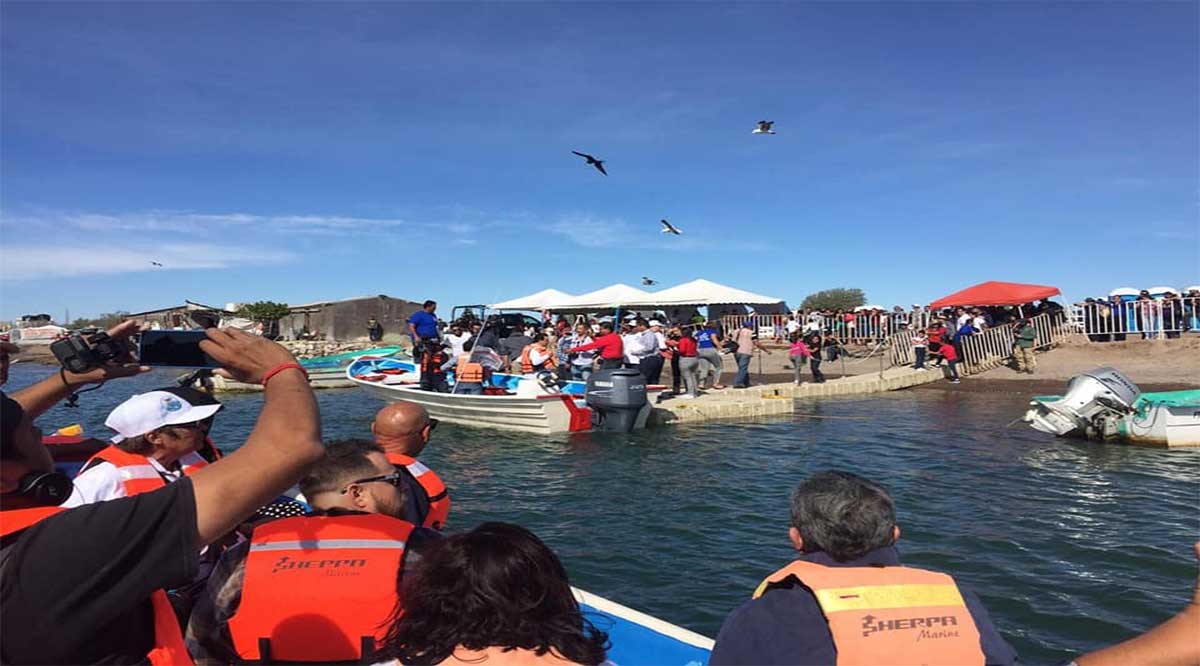 Creció a 38 el número de solicitudes para dar servicio de avistamiento de ballena en Puerto Chale