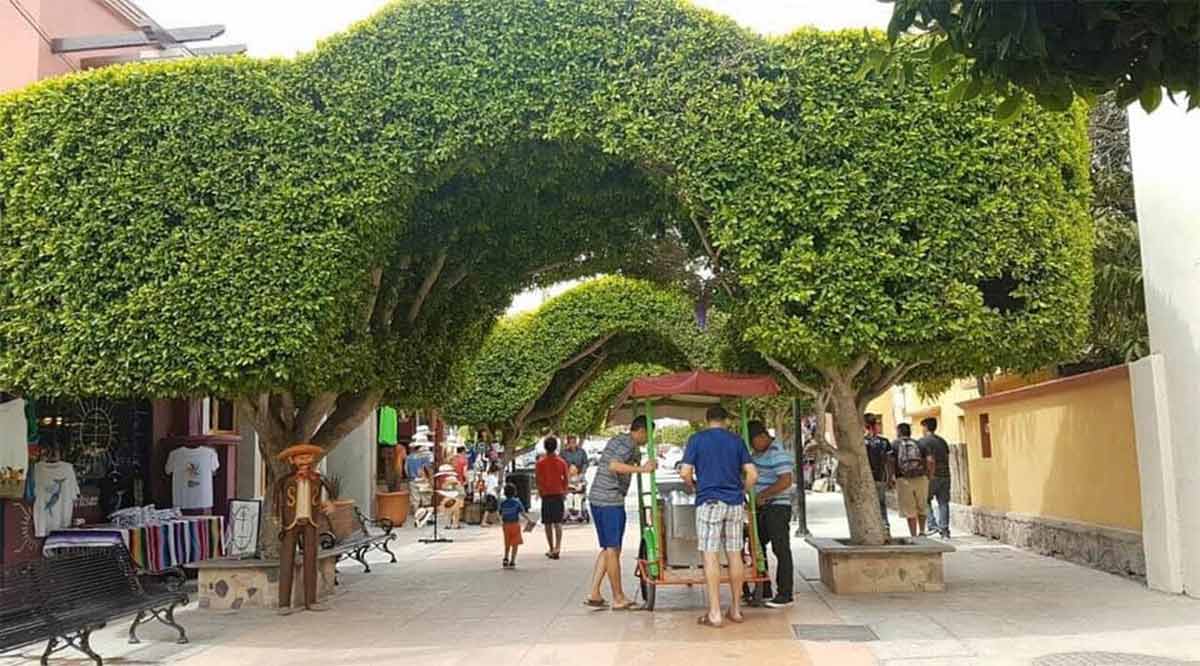 Se realizará en Loreto el I Tianguis de la Ruta Mágica del Noroeste