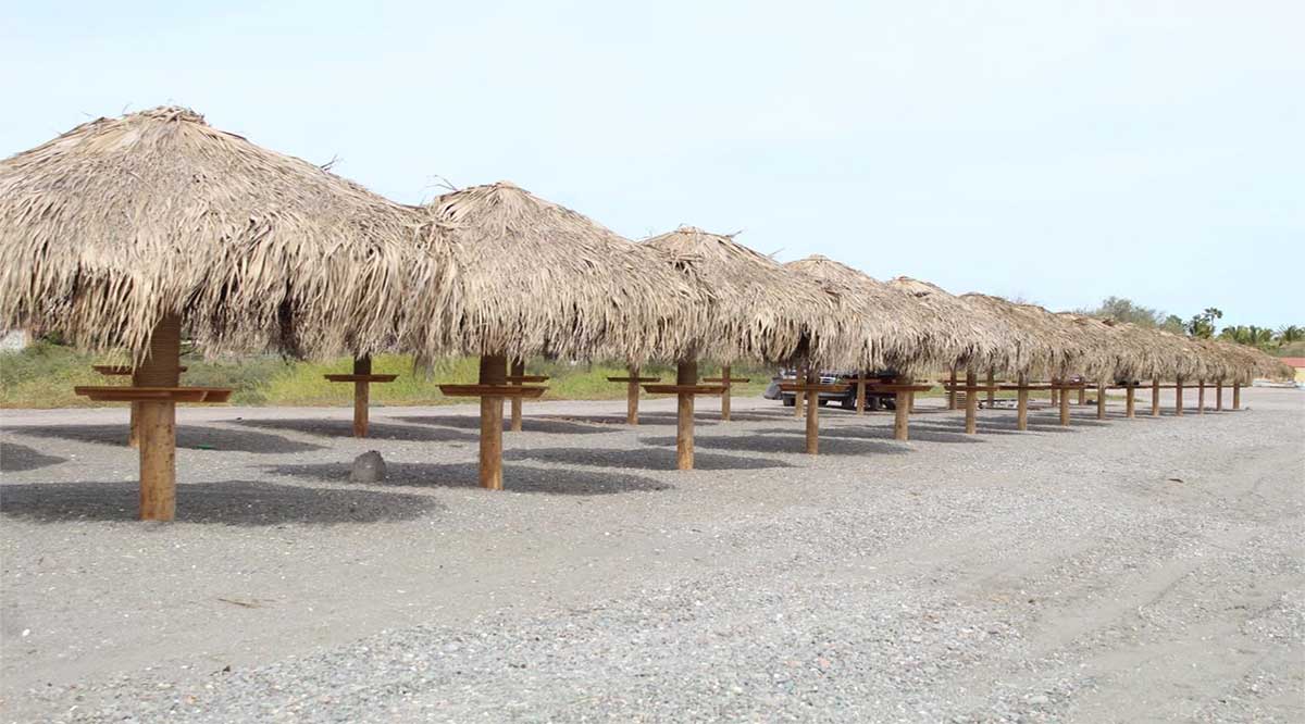 Instalan 30 palapas en Loreto en la playa La Negrita