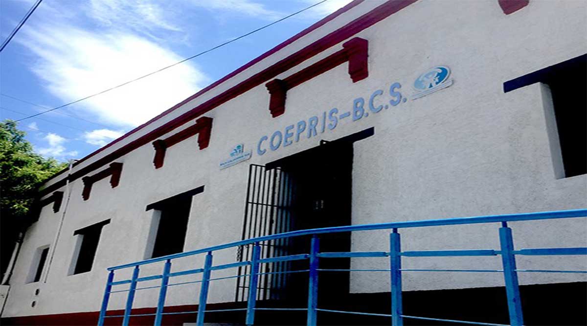 En BCS ningún laboratorio privado está autorizado para hacer pruebas Covid-19