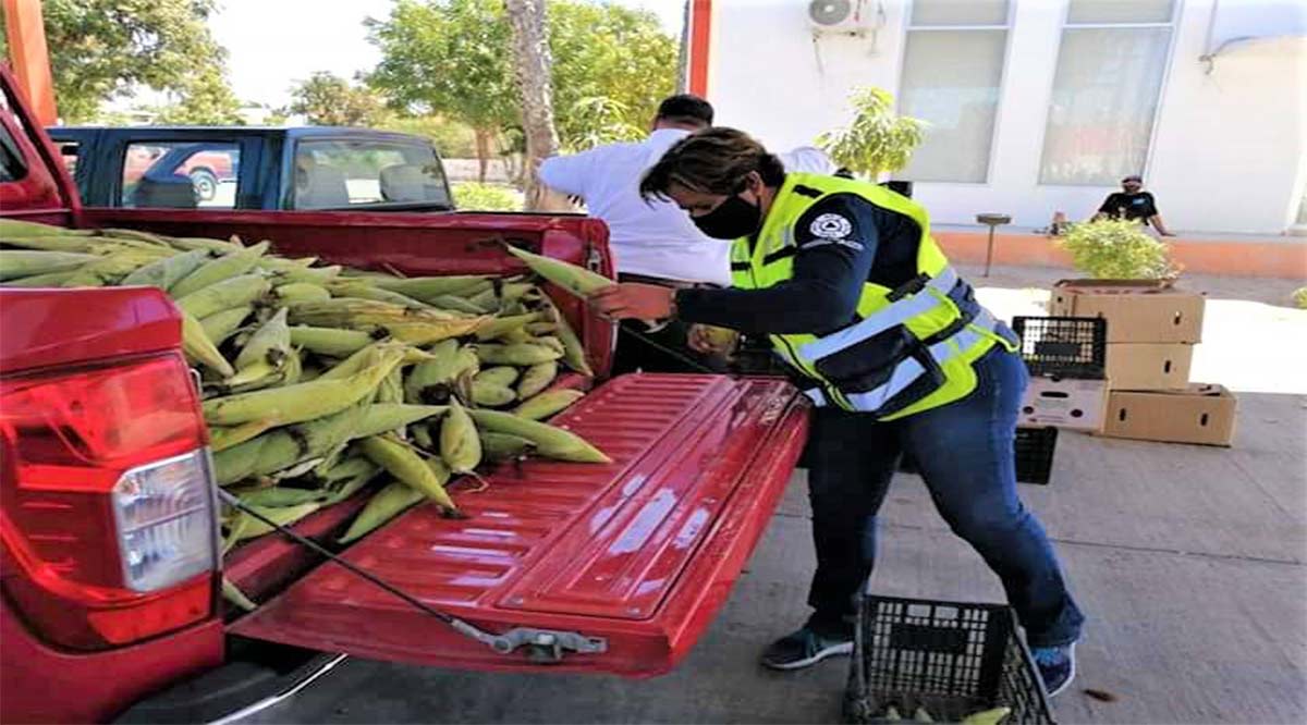 Entrega Ayuntamiento de La Paz alimentos a familias vulnerables