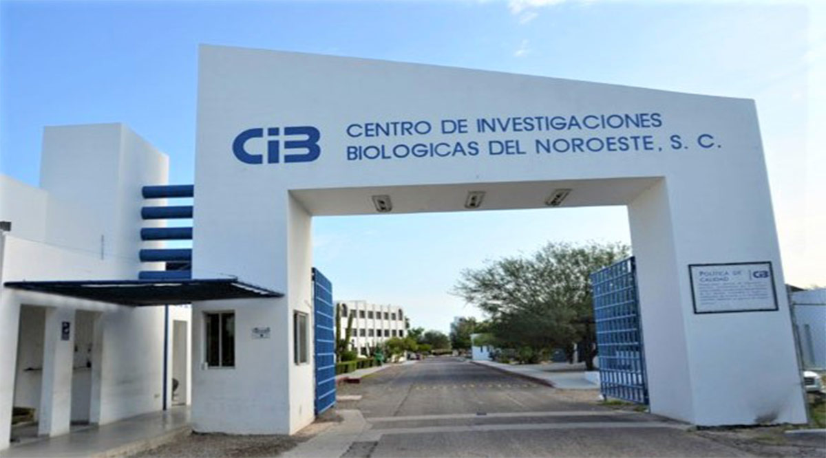 Valida InDRE a Laboratorio de Cibnor para identificar el SARS-CoV-2