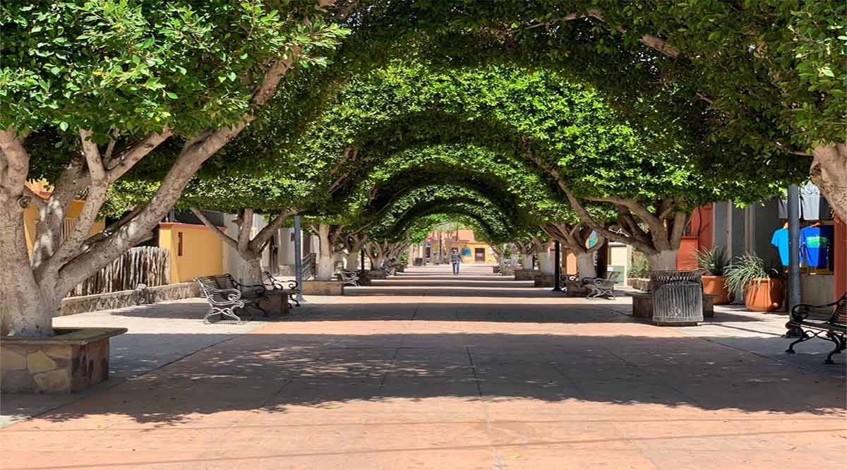 Dan a conocer disposiciones en Loreto de la nueva normalidad en el nivel 5