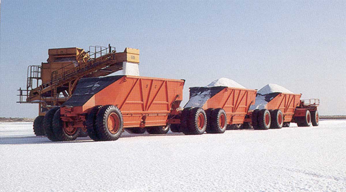 Brote de Covid-19 en Exportadora de Sal de Guerrero Negro