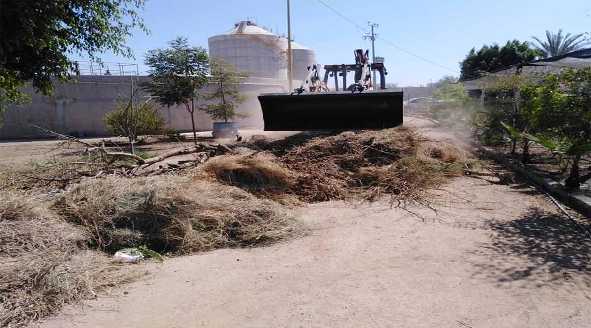 Rehabilitan vivero municipal en La Paz