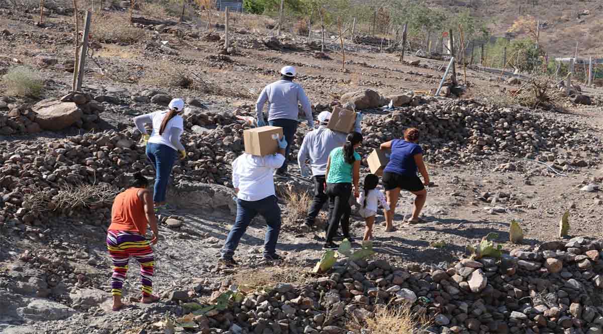 Se han distribuido en BCS cerca de 67 mil apoyos alimentarios