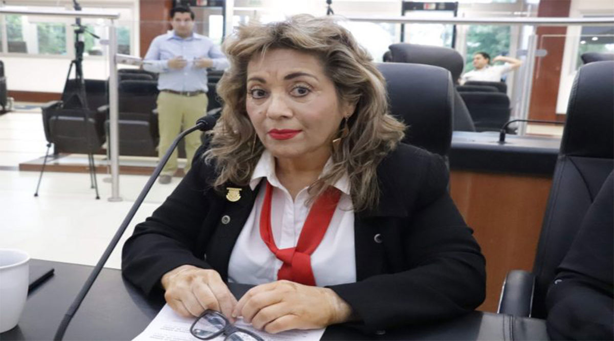 Amalia Camacho debe reflexionar por qué se prestó a la farsa morenista: Carlos Rochín