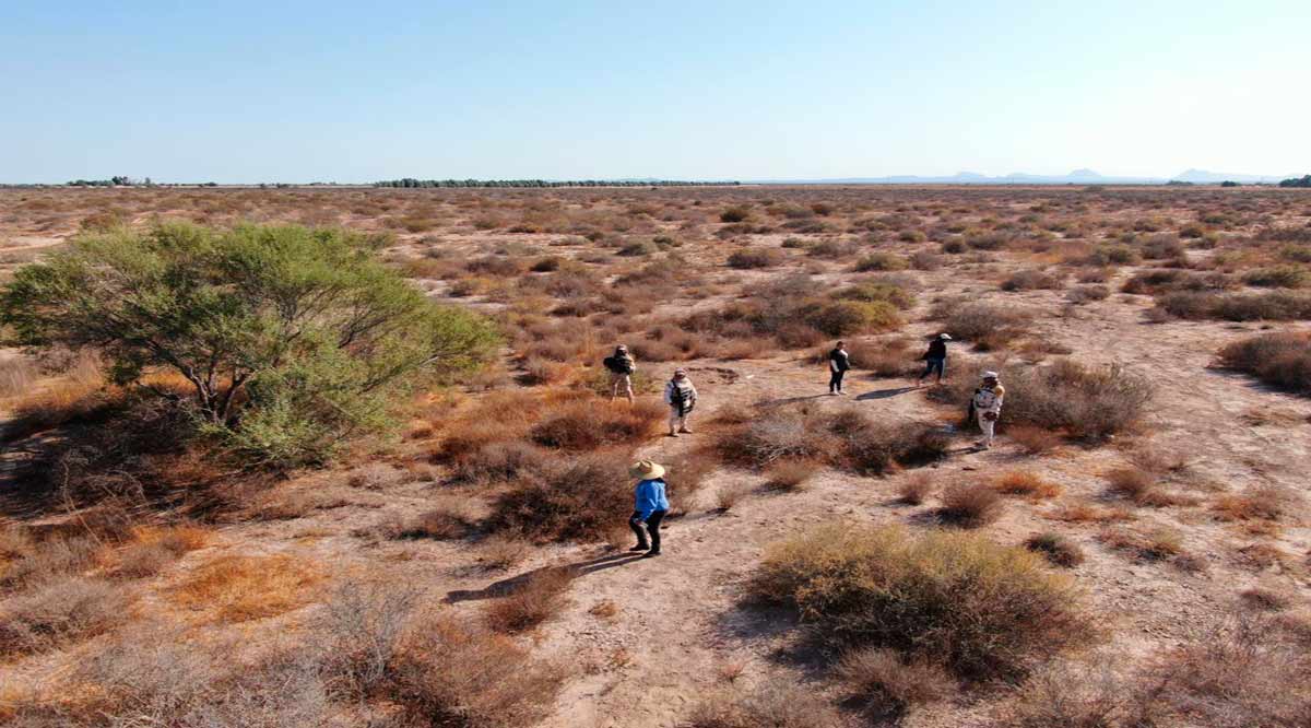 Culmina la CEBP con 18 acciones de búsqueda en campo en BCS