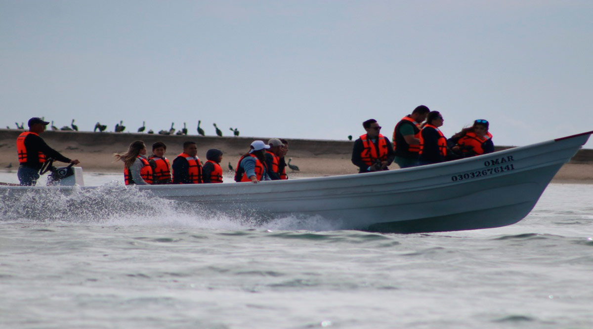 Posponen arranque oficial del avistamiento de ballena gris en Puerto Chale