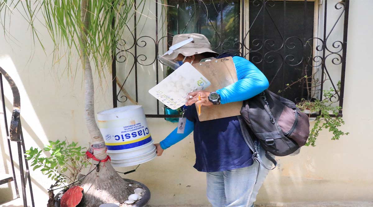 Llama SSA a la prevención del dengue tras las lluvias que se han registrado en BCS