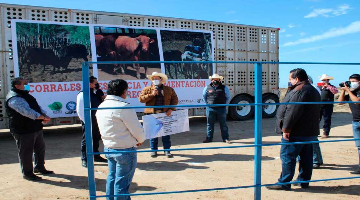 Construirán corrales de estancia y alimentación en el PVI de Guerrero Negro