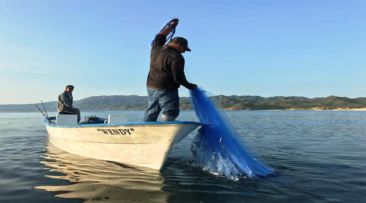 Más de 2 mil pescadores de BCS se inscribieron este año al programa Seguro de Vida