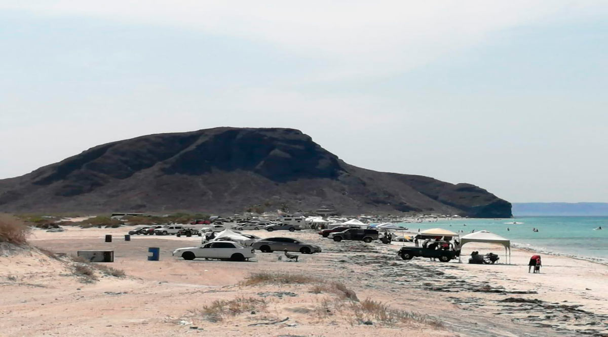 Recolectó Zofemat 24 toneladas de basura en playas de La Paz en Semana Santa