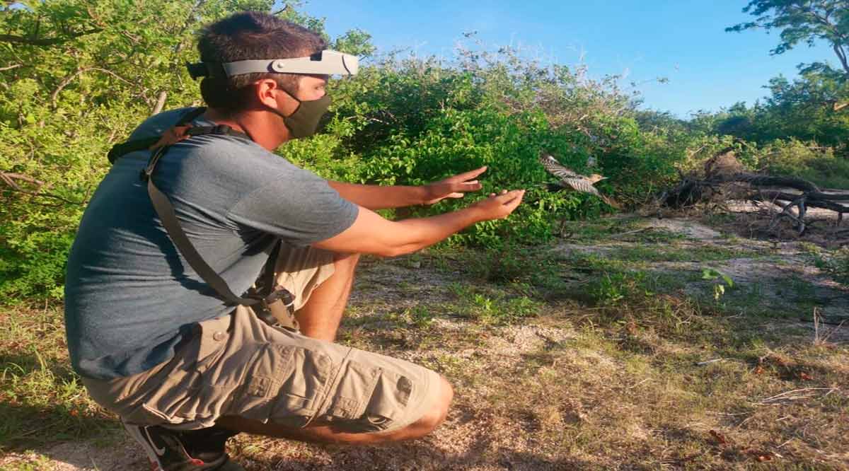 Recibe estudiante de la UABCS beca para certificarse como anillador científico de aves