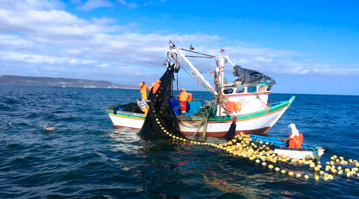 No destina la Federación recursos para la inspección y vigilancia de los mares: G. Saldaña