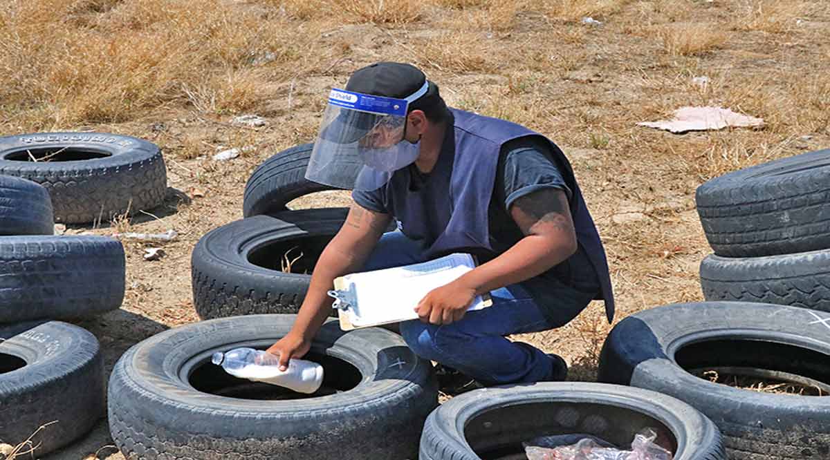 Exhorta SSA eliminar encharcamientos y agua acumulada en objetos en desuso para evitar criaderos de moscos