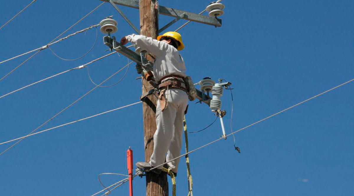 Debe Cenace reactivar portal de alertas de cortes de energía eléctrica: CERCA