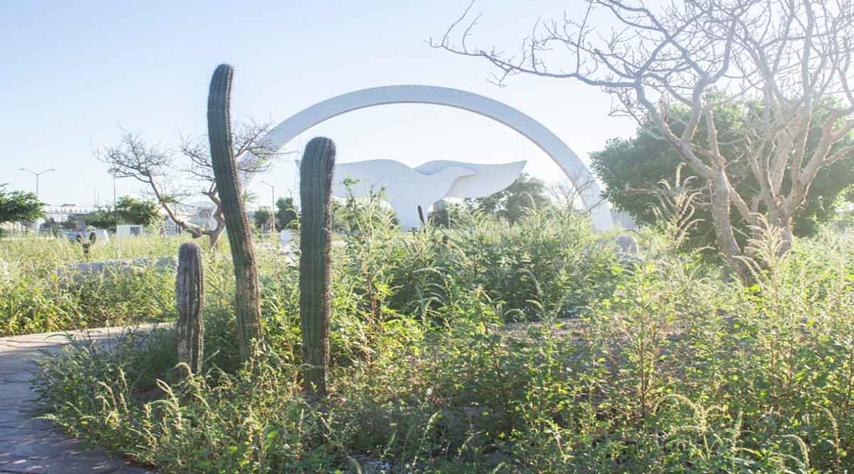 Arrancará el programa “Juntos es Posible Limpiar La Paz”