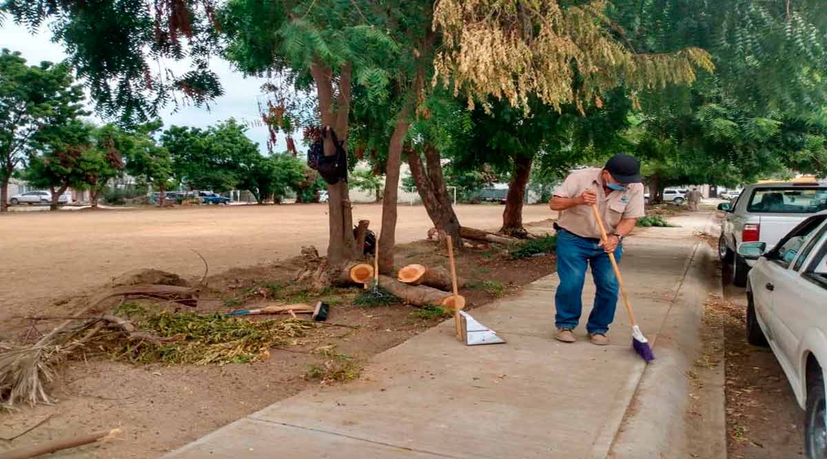 Más de 38 mil toneladas de basura han retirado de las calles de Los Cabos con el Plan Emergente de Limpieza