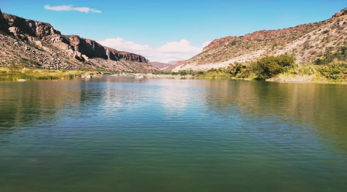 Impulsará gobierno de BCS la producción de peces de ornato