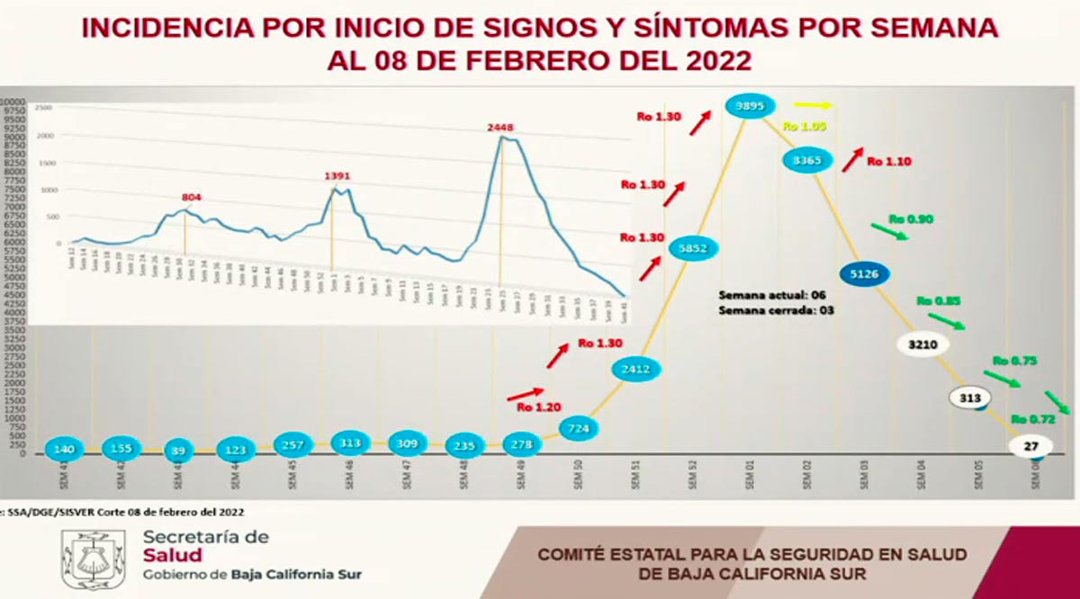 Reporta BCS un total de 86 hospitalizados y 29 intubados