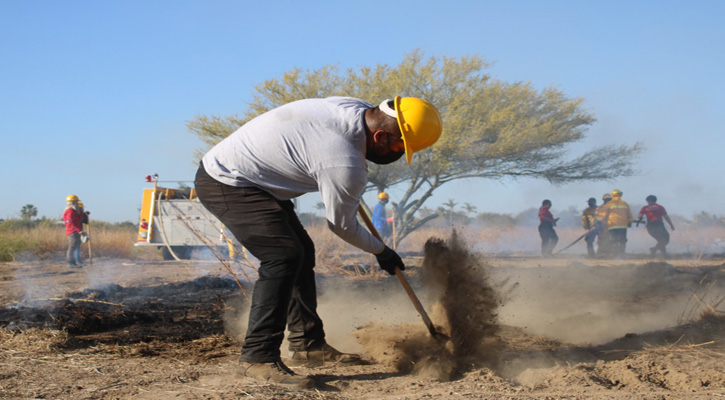 Se realizará en Los Cabos el I Foro de Protección Civil de BCS