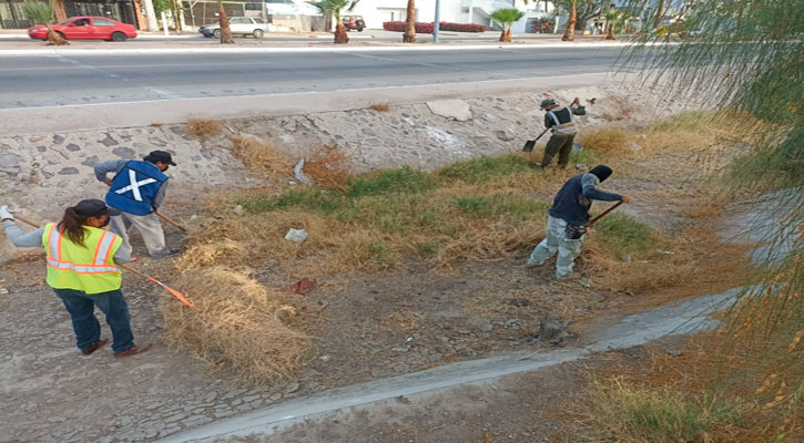 Realizan labores de limpieza en el canal del bulevar Constituyentes en La Paz