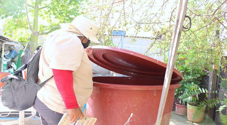 Aún con frío se puede padecer dengue, advierte SSA; ya hubo un deceso