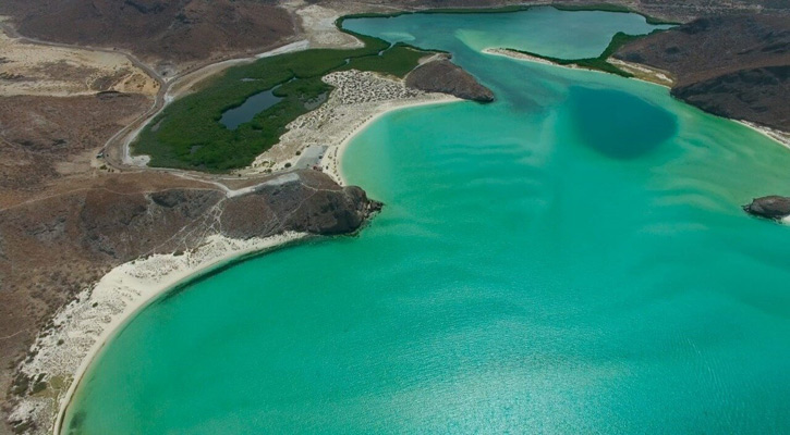 Se realizan labores de limpieza de la línea de costa, zona intermareal y submarinas en la playa Balandra