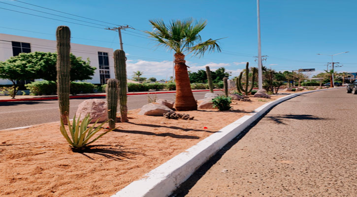 Instalan 14 cisternas como parte del Proyecto “Camellón Integral en bulevar Colosio” en La Paz