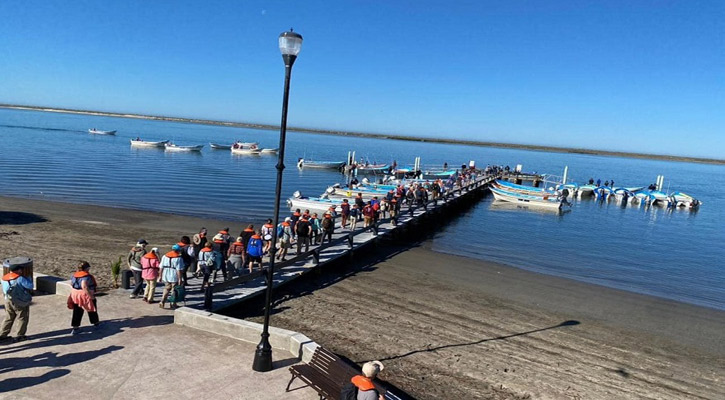 Asegura el Gobernador que se están entregando permisos faltantes para el avistamiento de ballena