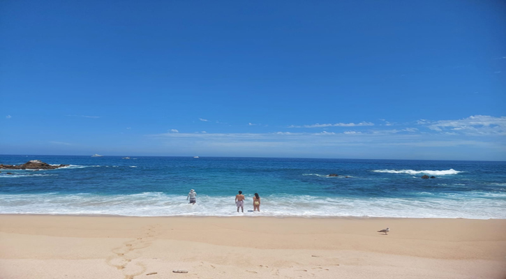 Presentan playas de BCS condiciones óptimas para uso recreativo en esta temporada decembrina