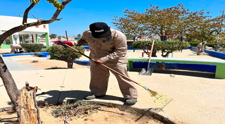 Refuerzan en Los Cabos la limpieza en camellones y áreas verdes