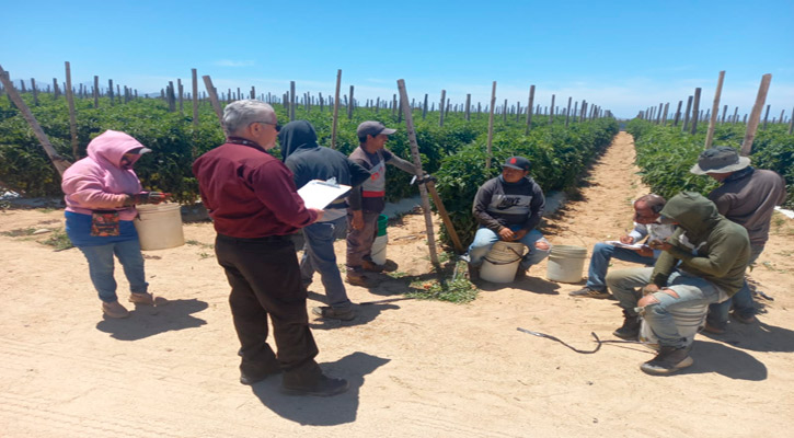 Realizan protocolos de inspección laboral en BCS