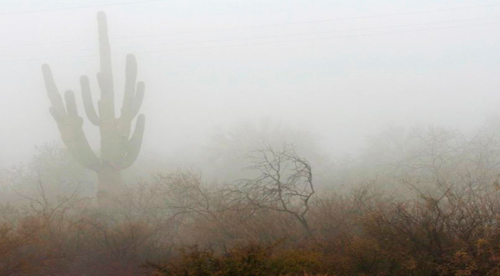 Exploran potencial oculto en las nubes de BCS para cosechar agua de niebla