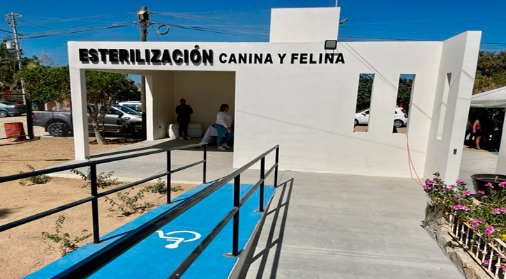 Realizarán en SJC jornada de esterilización canina y felina