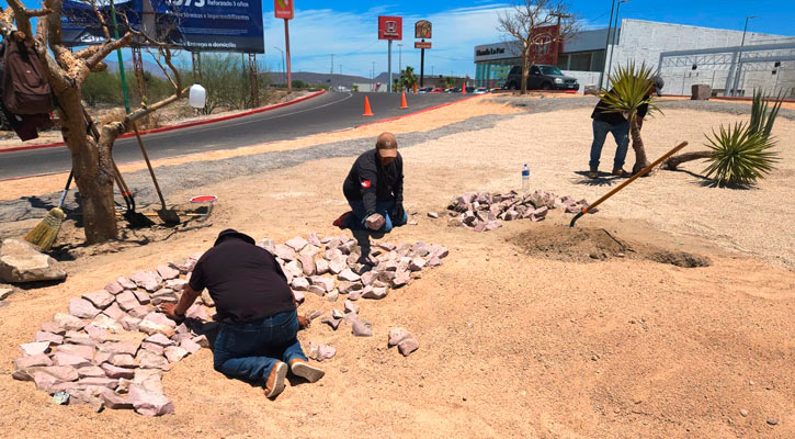 Reforestan el camellón de la curva del libramiento Daniel Roldán