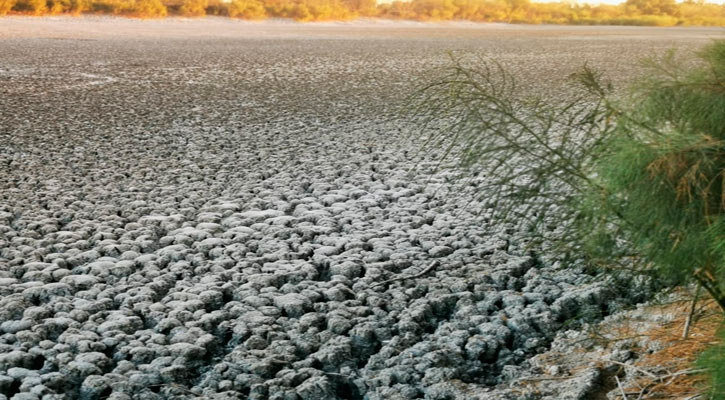 Aprueba Congreso la Ley de Cambio Climático para BCS