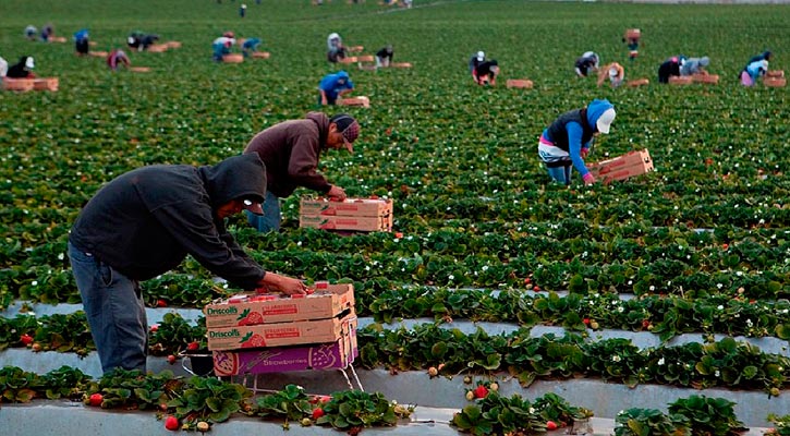 Persiste en algunos ranchos agrícolas de BCS la esclavitud moderna y hasta tienda de raya: Gobernador