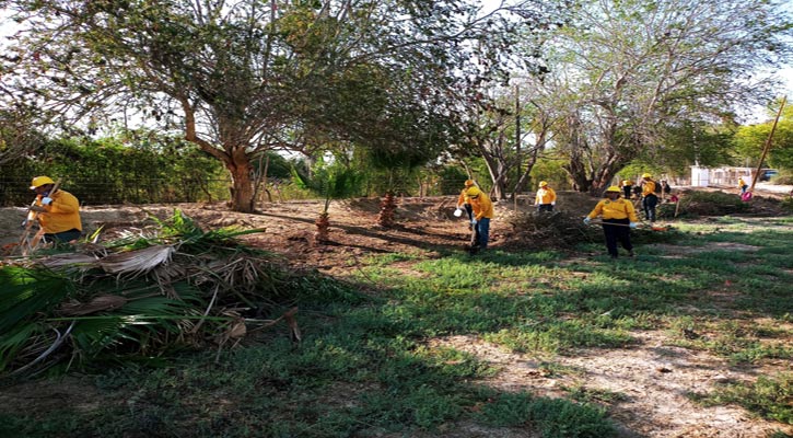 Retiran 85 toneladas de material combustible del oasis de Santiago