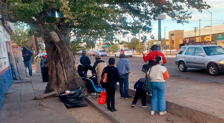 “Desorden en las rutas de transporte provocan canibalismo del pasaje en La Paz”, dice el regidor Ibarra