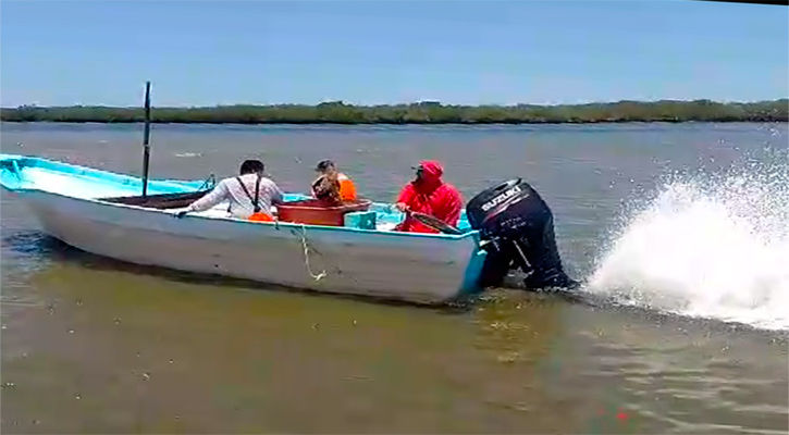 Retienen en Comondú embarcación que realizaba pesca de camarón en veda