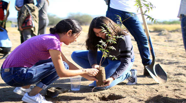 Trabaja la UABCS en proyecto de oasis urbanos para su campus en La Paz