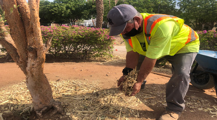 Aplican más de 2 toneladas de mulch en 6 parques de La Paz