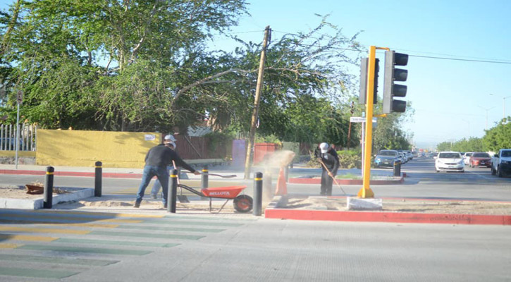 Más de 5 mil servidores públicos participaron en la jornada de limpieza “La Ciudad te Necesita” en La Paz