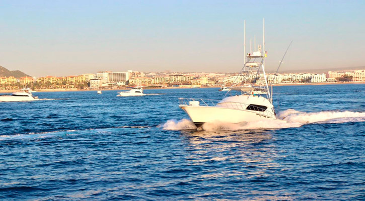 Con una bolsa superior a los 700 mil dólares se realiza el Torneo Billfish Los Cabos