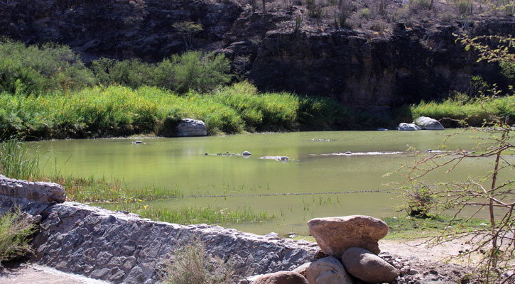 Buscan asegurar la disponibilidad de agua para las nuevas generaciones en BCS