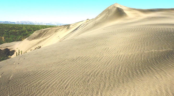 Realizan estudio de caracterización de dunas en El Mogote y Puerto Chale